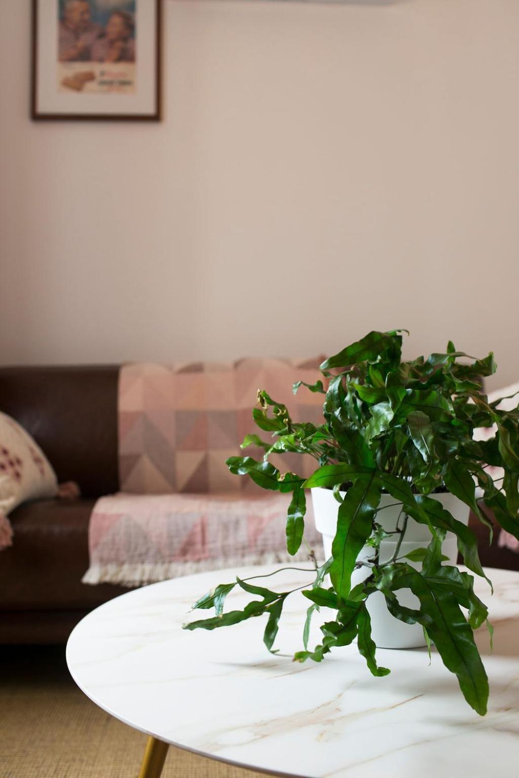 William Arnott Boutique Accommodation Morpeth Zimmer foto